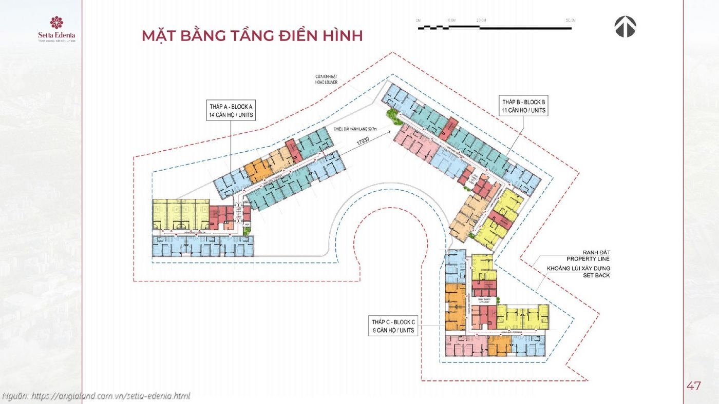 Mặt bằng tầng điển hình tổng thể 3 tháp (Block A 14 căn, Block B 11 căn, Block C 9 căn) dự án Setia Edenia